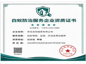 北海铁山港区现场施工安全标准化企业
